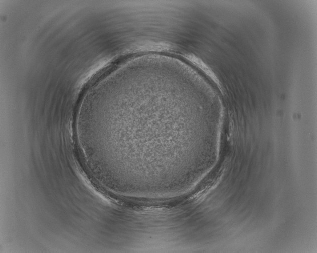 X0000076320581200610161646