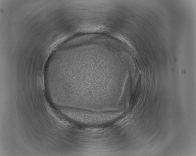 X0000076320582200610161646