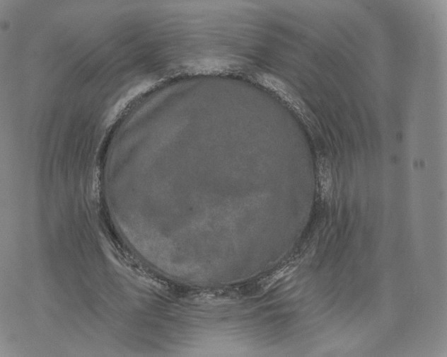 X0000076320583200610161646