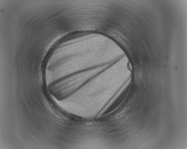 X0000076320584200610161646