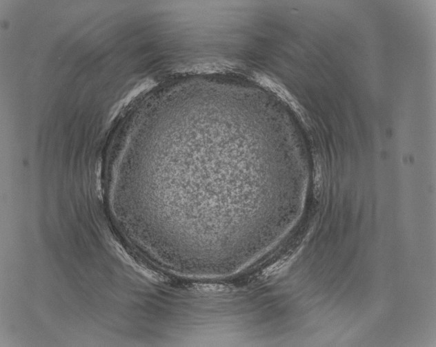 X0000076320585200610161646