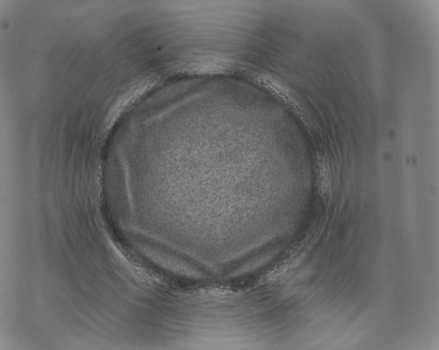 X0000076320586200610161646