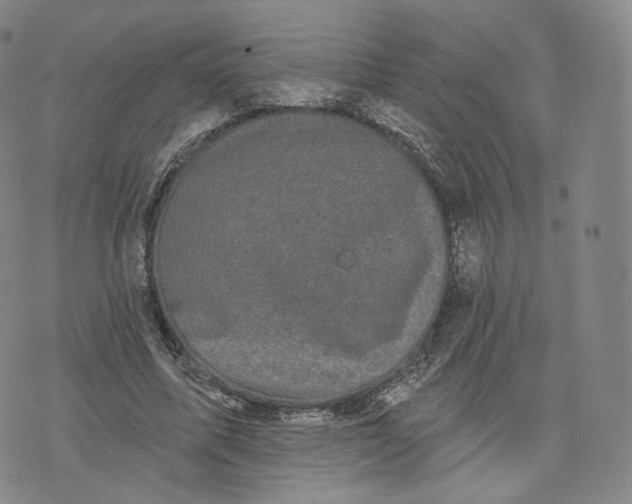 X0000076320587200610161646