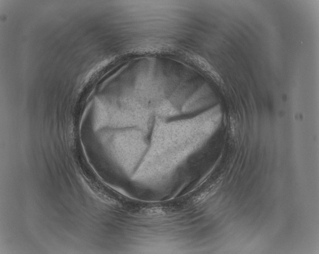 X0000076320588200610161646