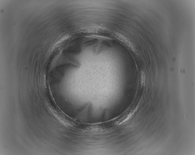 X0000076320589200610161646