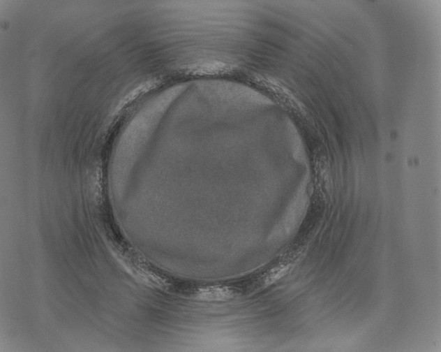 X0000076320591200610161646