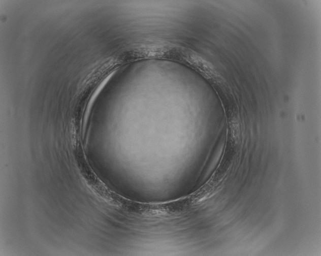 X0000076320594200610161646