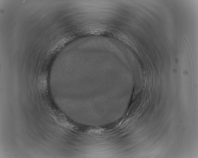 X0000076320595200610161646