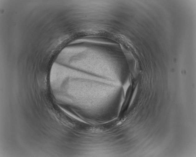 X0000076320596200610161646