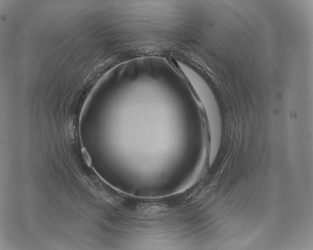 X0000076320597200610161646