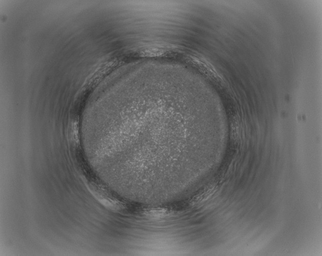 X0000076320598200610161646