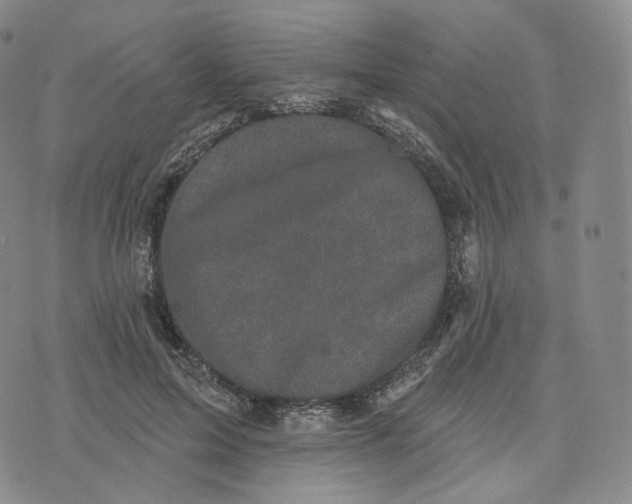 X0000076320599200610161646