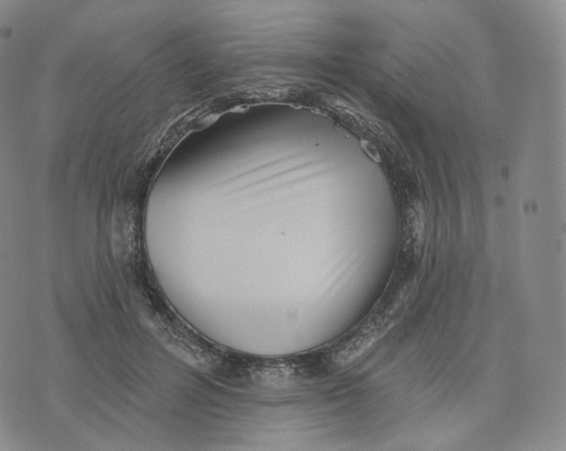 X0000076320600200610161646