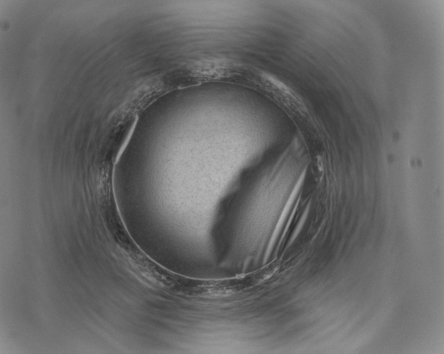 X0000076320601200610161646