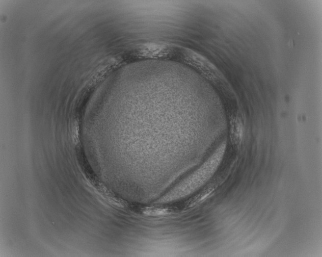 X0000076320602200610161646