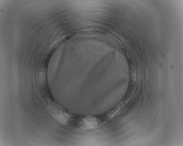 X0000076320603200610161646