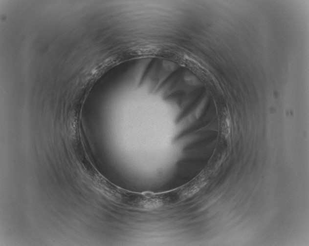 X0000076320604200610161645