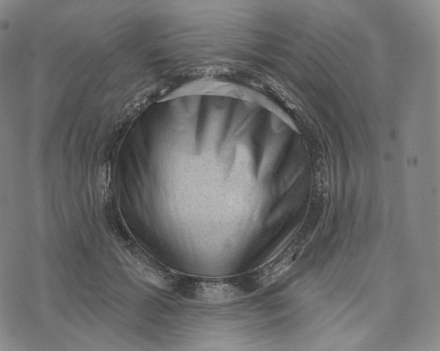 X0000076320605200610161645