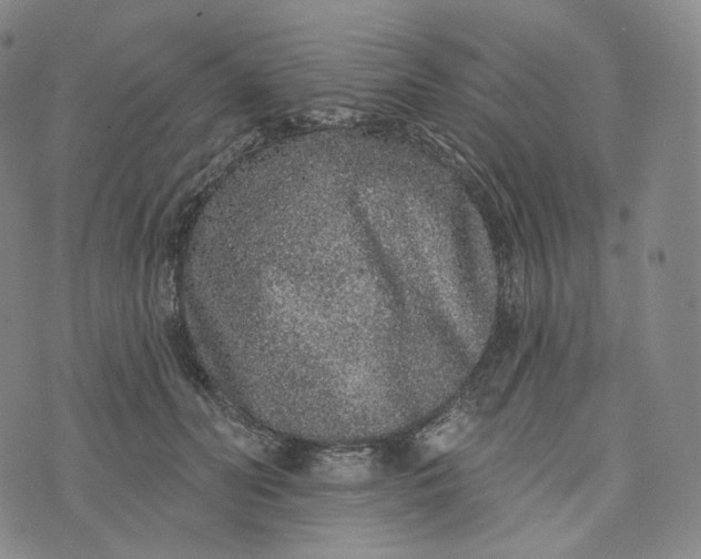 X0000076320606200610161645