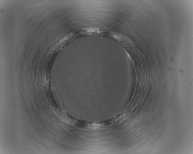 X0000076320607200610161645