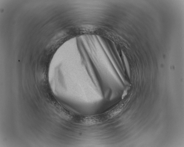 X0000076320608200610161645