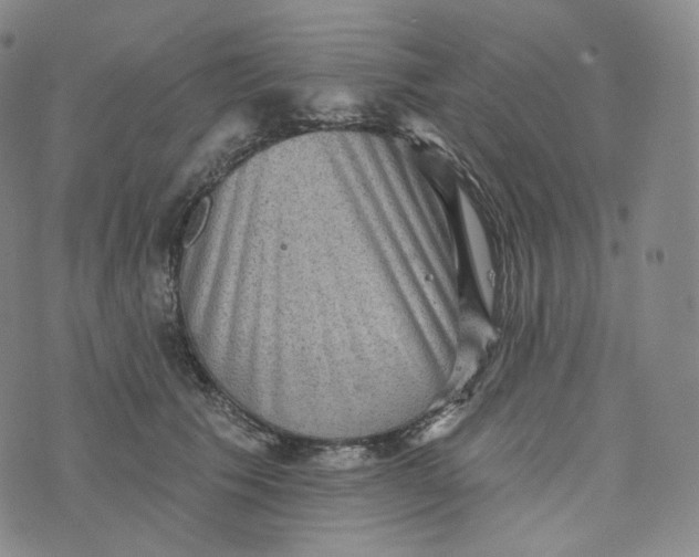 X0000076320609200610161645