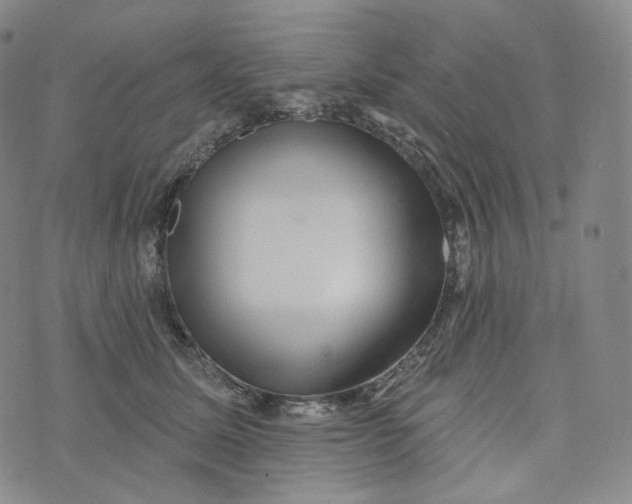 X0000076320611200610161645