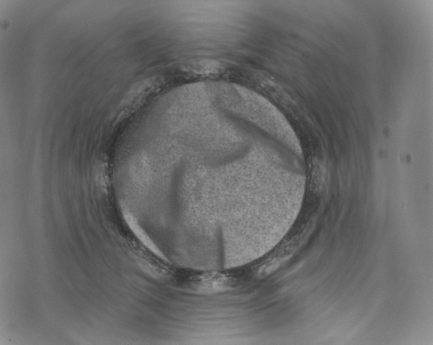 X0000076320612200610161645