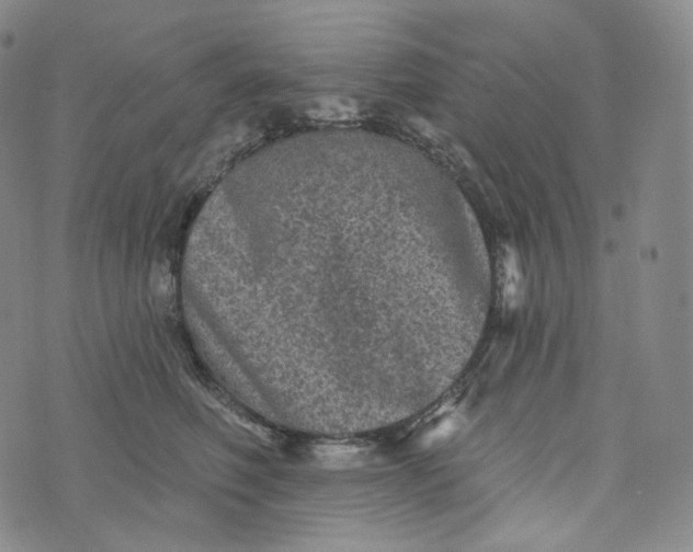 X0000076320614200610161645