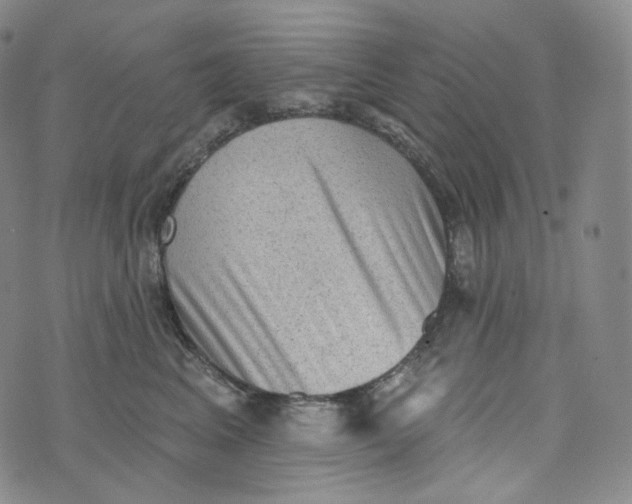 X0000076320617200610161645