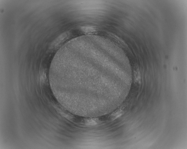 X0000076320618200610161645