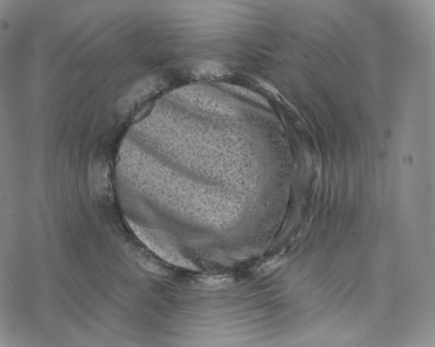 X0000076320619200610161645