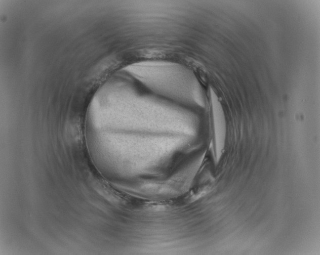 X0000076320620200610161645