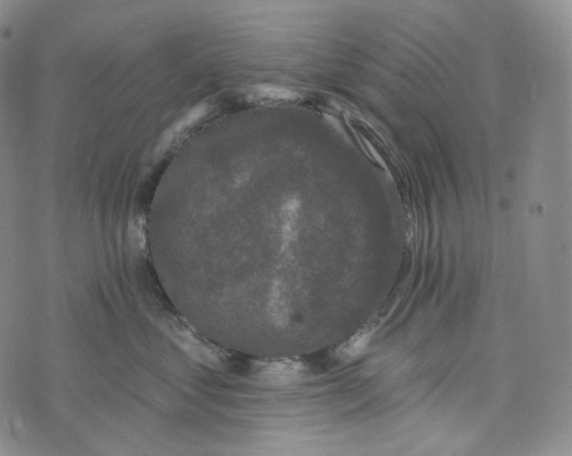 X0000076320621200610161645