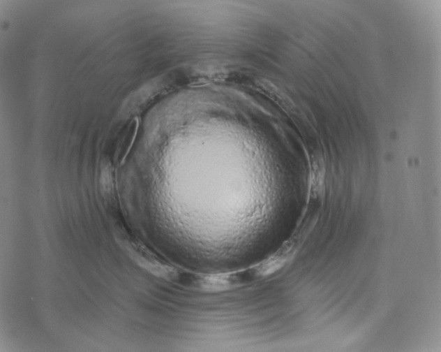 X0000076320623200610161645