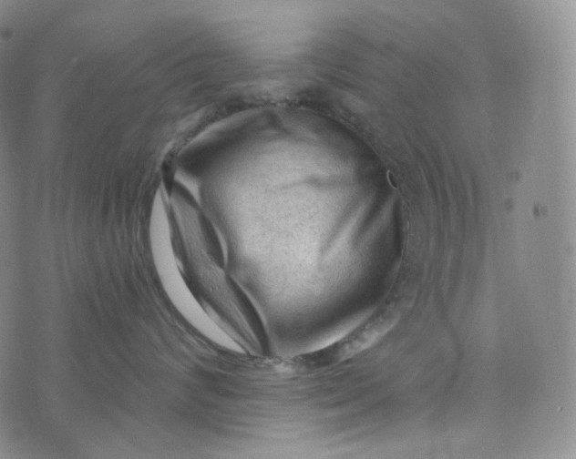 X0000076320624200610161645