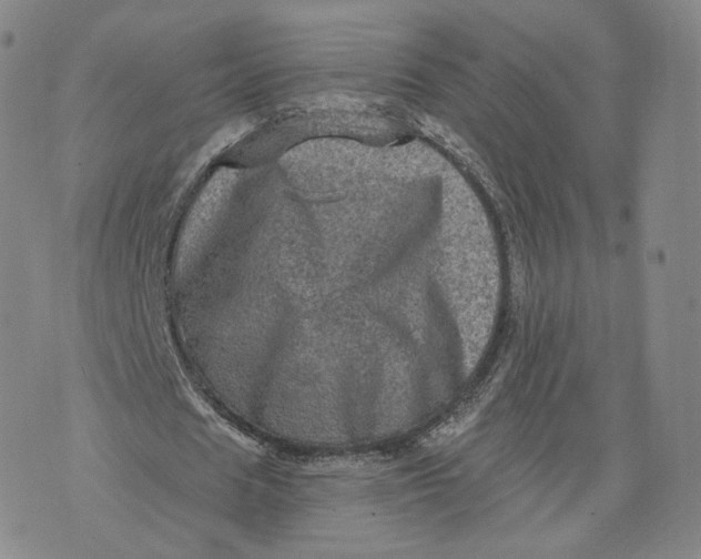 X0000076320625200610161644