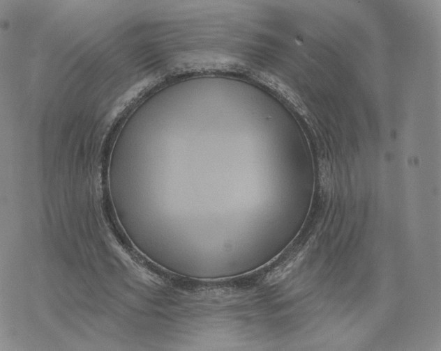 X0000076320629200610161644