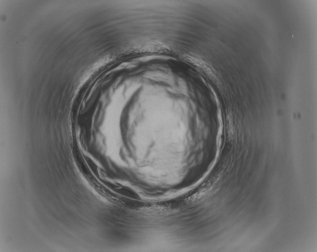 X0000076320630200610161644