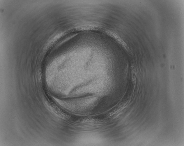 X0000076320631200610161644