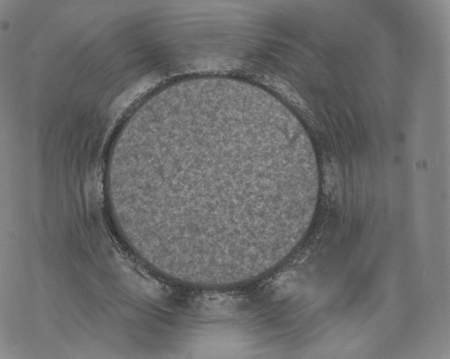 X0000076320632200610161645