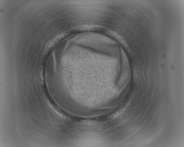 X0000076320633200610161645