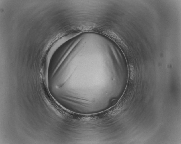 X0000076320634200610161645