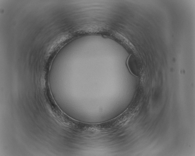 X0000076320635200610161645