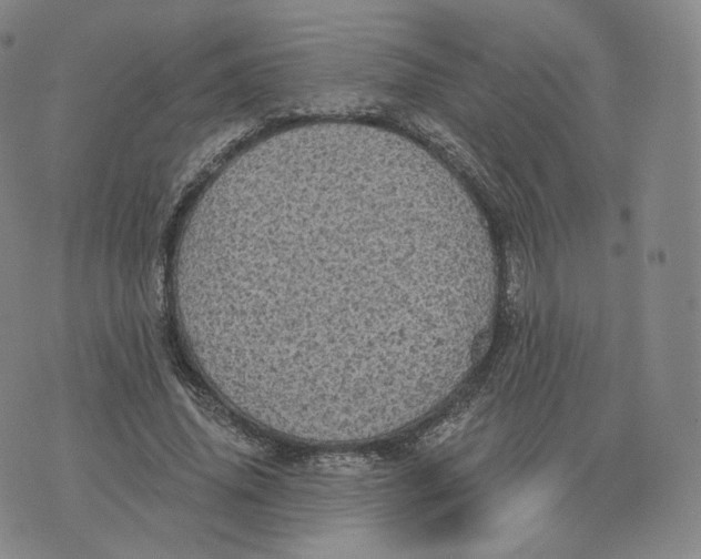 X0000076320636200610161645