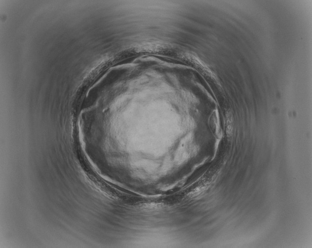 X0000076320637200610161645