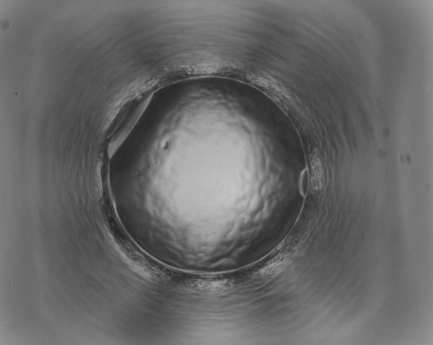 X0000076320638200610161645