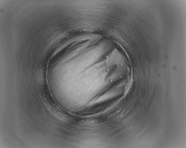 X0000076320639200610161645