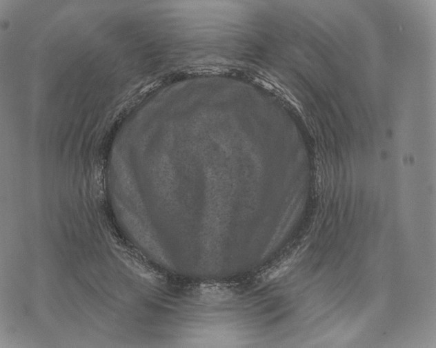 X0000076320641200610161645