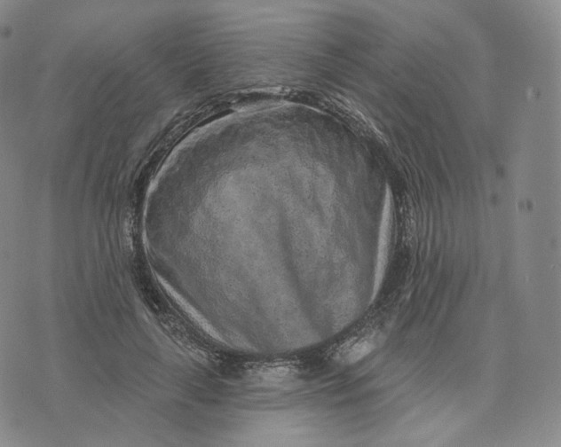 X0000076320643200610161645